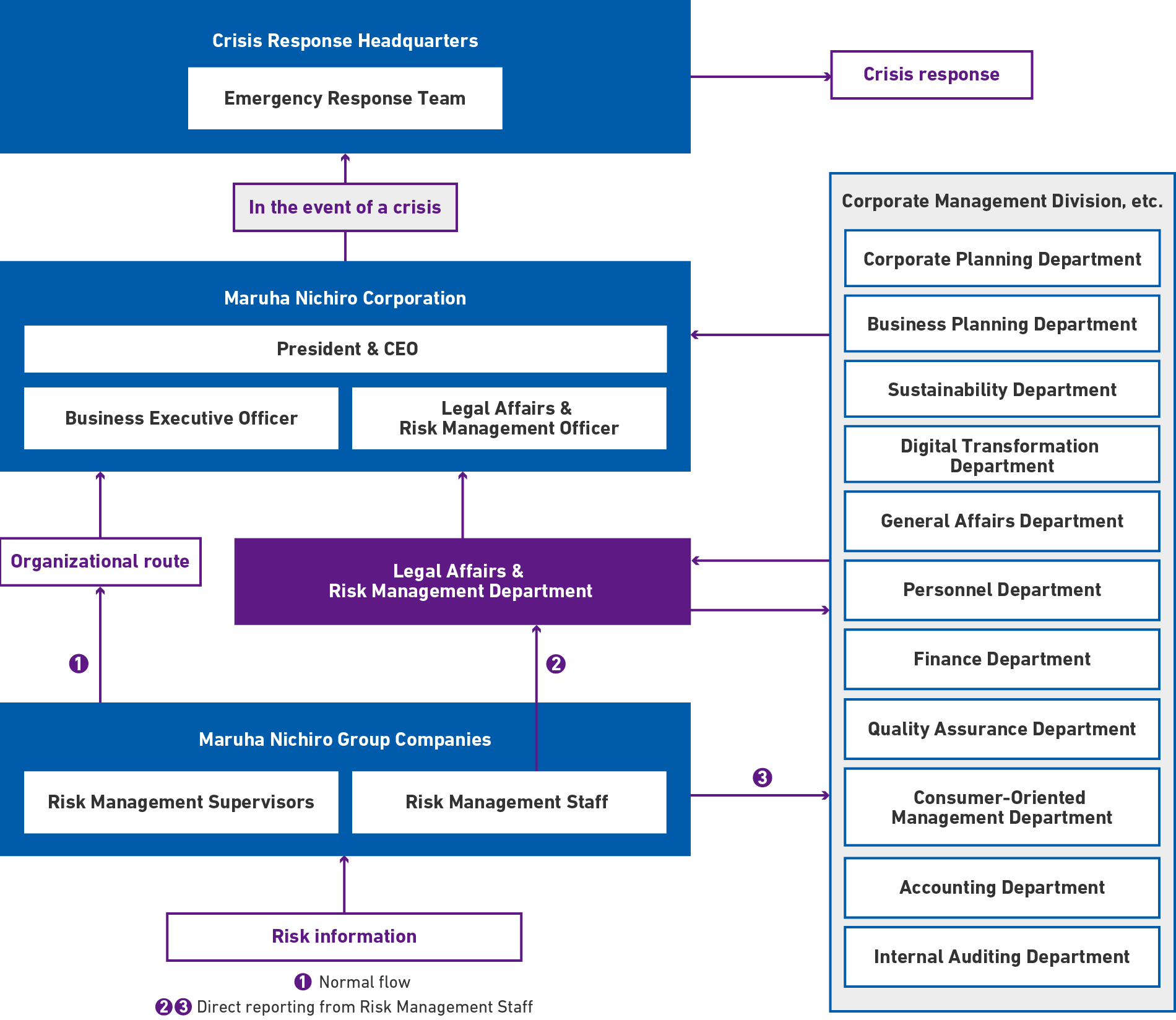 Risk-Related Information Flowchart