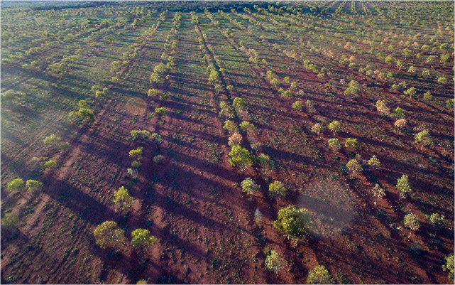 Austral Fisheries & the road to carbon neutrality