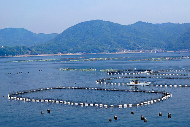 Fish Farming