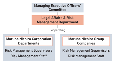 Risk management framework