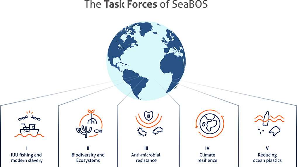 The Task Forces of SeaBOS