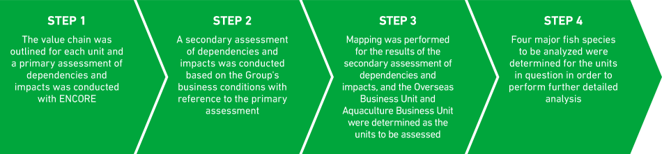 The analysis and scoping of the dependence and impact of biodiversity was conducted in the following sequenc