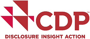 CDP DISCLOSURE INSIGHT ACTION