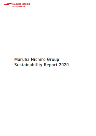 Sustainability Report 2020