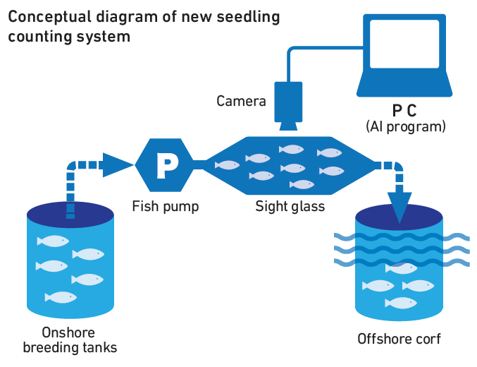Conceptual diagram of new seedling counting system