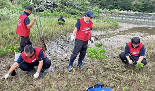 Maruha Nichro members restoring the planting site