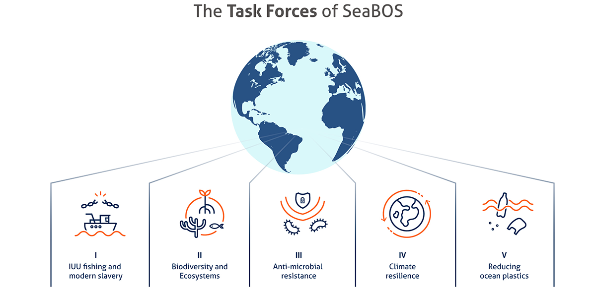 The Task Force of SeaBOS