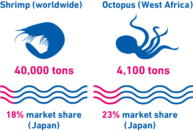 Shrimp(worldwide)40,000 tons 18% market share(Japan), Octopus(West Africa)4,100 tons 23% market share(Japan)