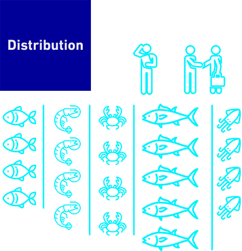 Distribution