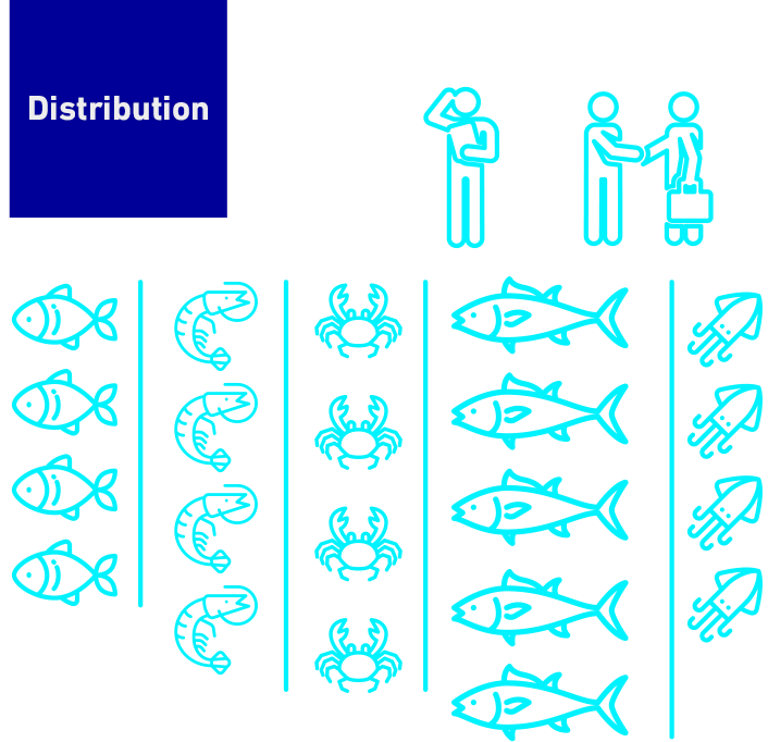 Distribution